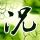 醉玲珑